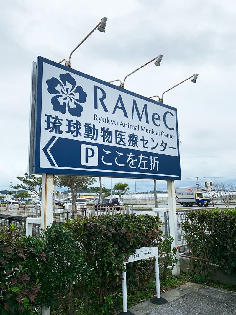 誘導看板デザイン1
