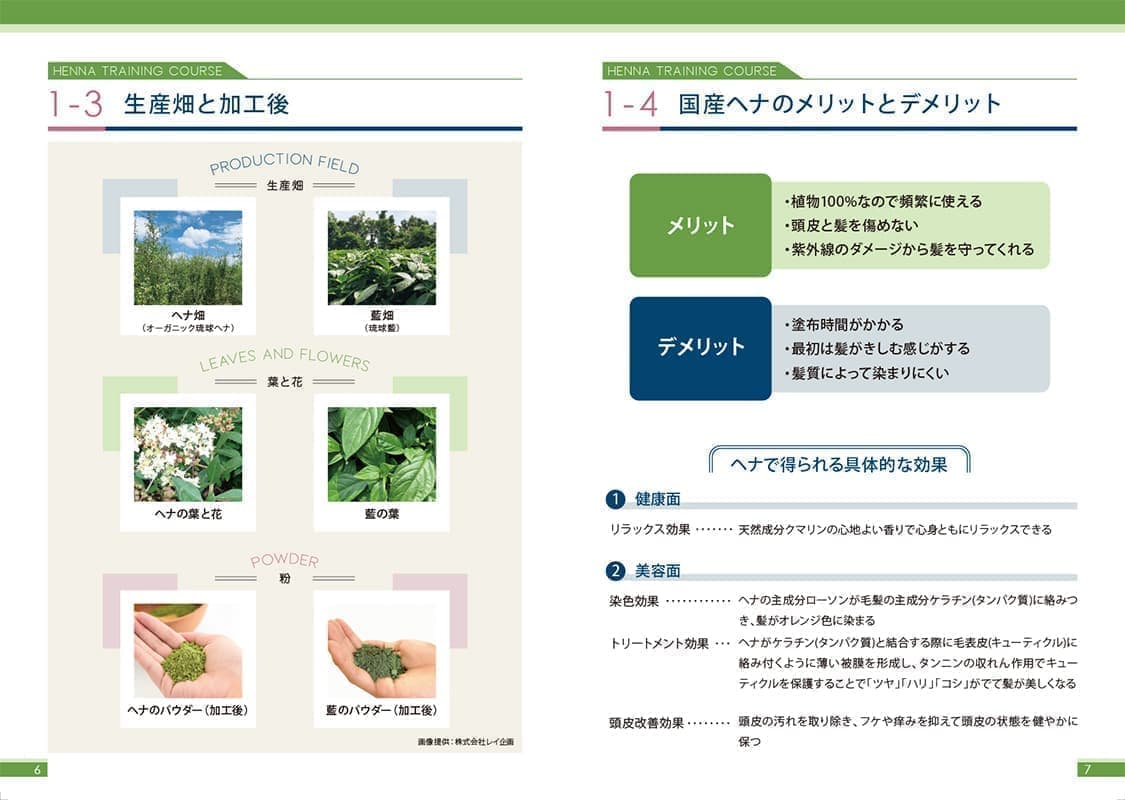 ヘナ養成講座テキスト本文2