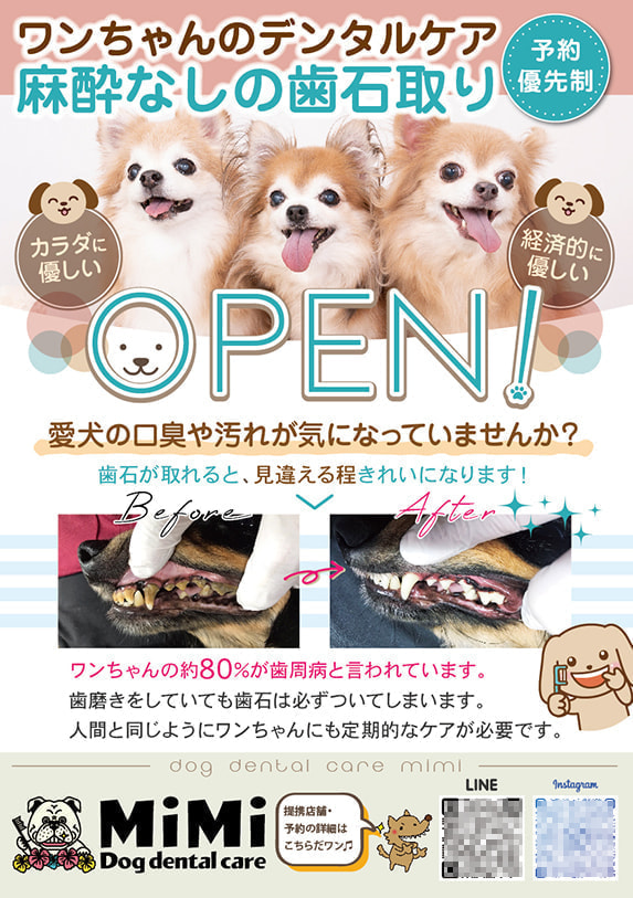 ドッグデンタルケアのオープンチラシデザイン